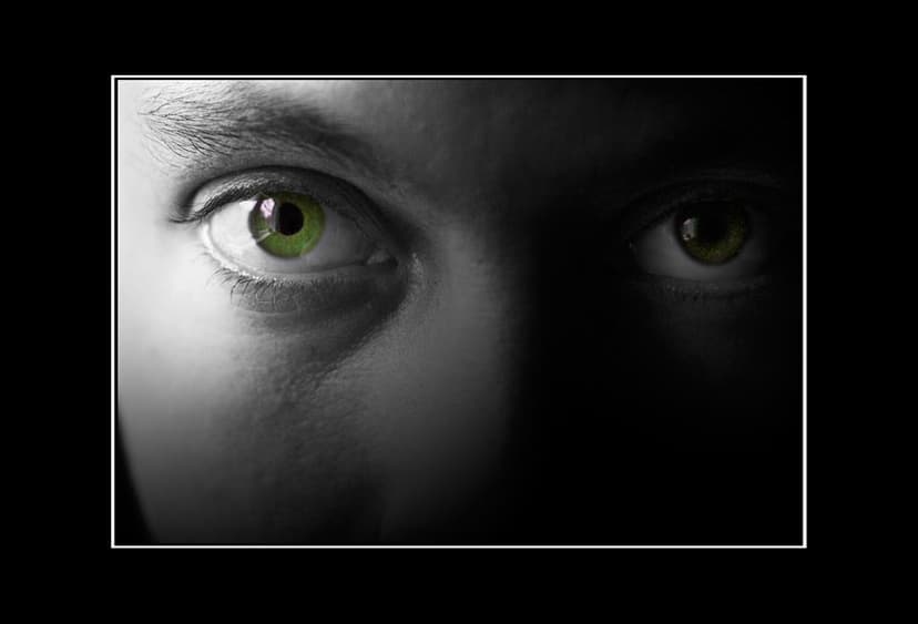 Tillbaka blick......